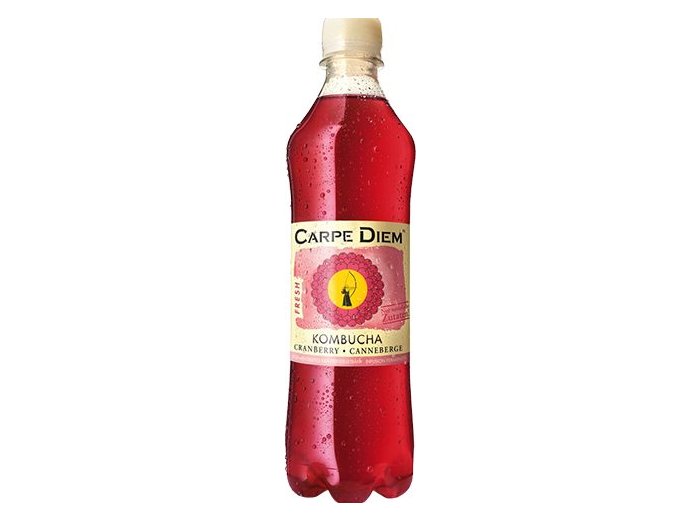 Kombucha Fresh Classic 50cl PET 12er Tray