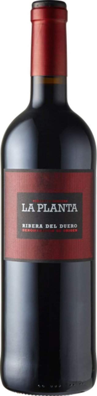 La Planta D.O., Arzuaga 2022 75cl EW 6er Kart