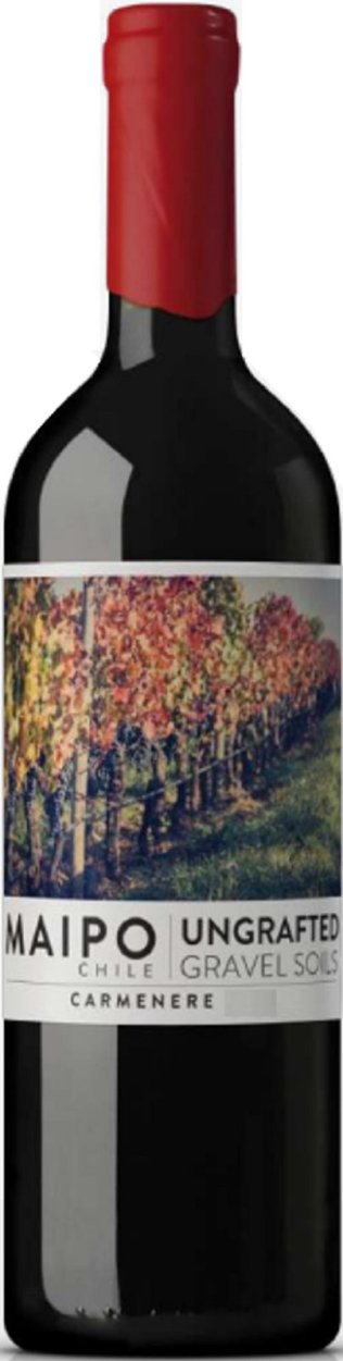 Carmenère Ungrafted 2022 75cl EW 6er Kart