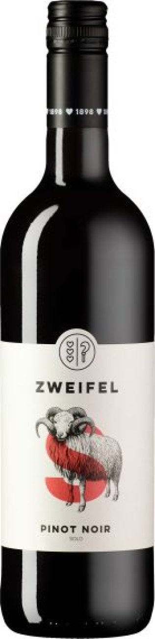 Pinot Noir Solo 2023 75cl EW 6er Kart