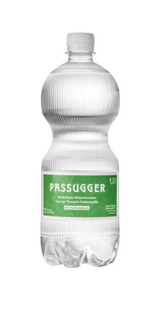 Passugger Theophil mit Kohlensäure 100cl PET 6er Har