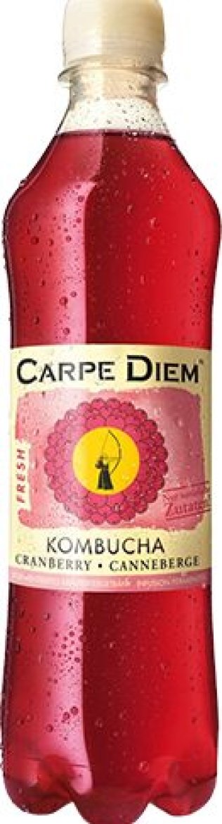 Carpe Diem Kombucha Classic (PET 12er-Pack) 50cl KAR