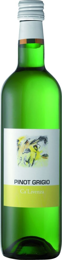 Pinot Grigio Venezia DOC, Terra Mia 2023 50cl MW 15er Vini