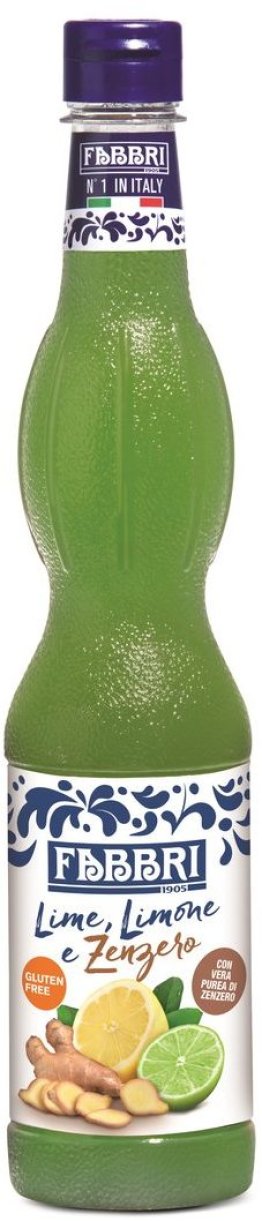 Fabbri Sirup Lime, Lemon, Ginger Plus 100cl PET 6er Kart