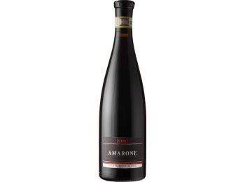 Amarone Valpolicella Cami DOC 2021 50cl EW 6er Kart