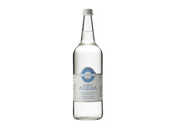 Allegra ohne Kohlensäure 100cl MW 12er Har