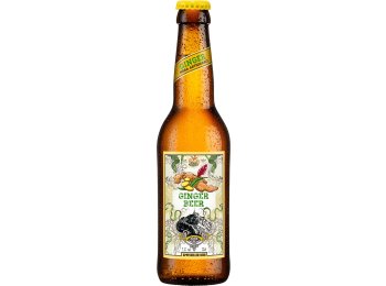 Appenzeller Ginger Beer 33cl EW 6er Kart