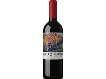 Carmenère Ungrafted 2022 75cl EW 6er Kart