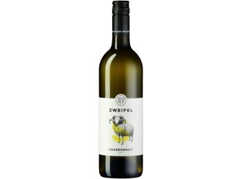 Chardonnay Solo 2024 75cl EW 6er Kart