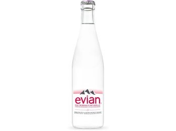 Evian ohne Kohlensäure 50cl MW 20er Har