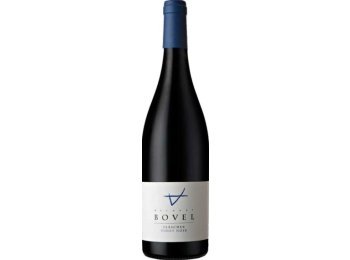 Fläscher Pinot Noir Bovel 2024 75cl EW 6er Kart