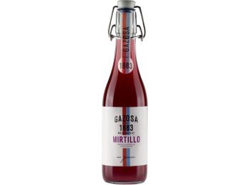 Gazosa 1883 Mirtillo 35cl MW B 20er Har