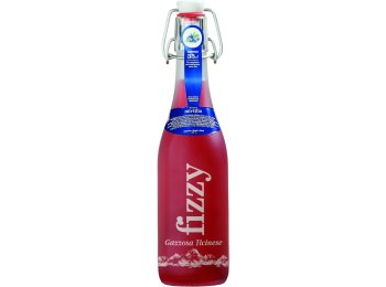 Gazzosa Fizzy Mirtillo 35cl MW B 20er Har