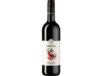 Pinot Noir Solo 2023 75cl EW 6er Kart
