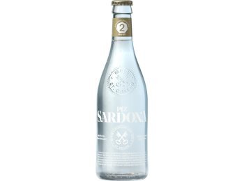 Piz Sardona 2 mittel wenig Kohlensäure 40cl MW 20er Har
