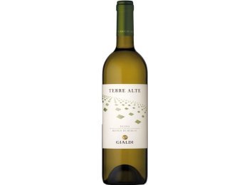 Terre Alte Bianco di Merlot 2024 75cl EW 6er Kart