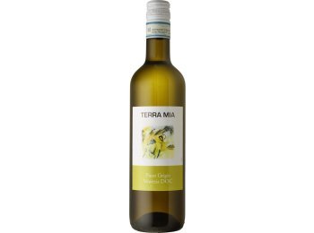 Pinot Grigio Venezia DOC, Terra Mia 2025 50cl MW 15er Vini
