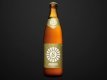 Amboss Bier Blonde 50cl MW 10er Har