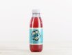 Phil's Bio Früchte Eistee 33cl MW 24er Har